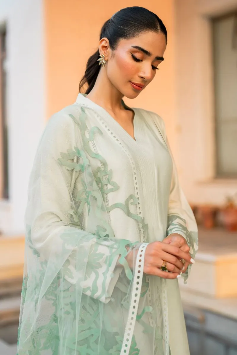 Natasha Kamal - Carmen - green applique - Cotton net lined with cotton silk - 3 Piece