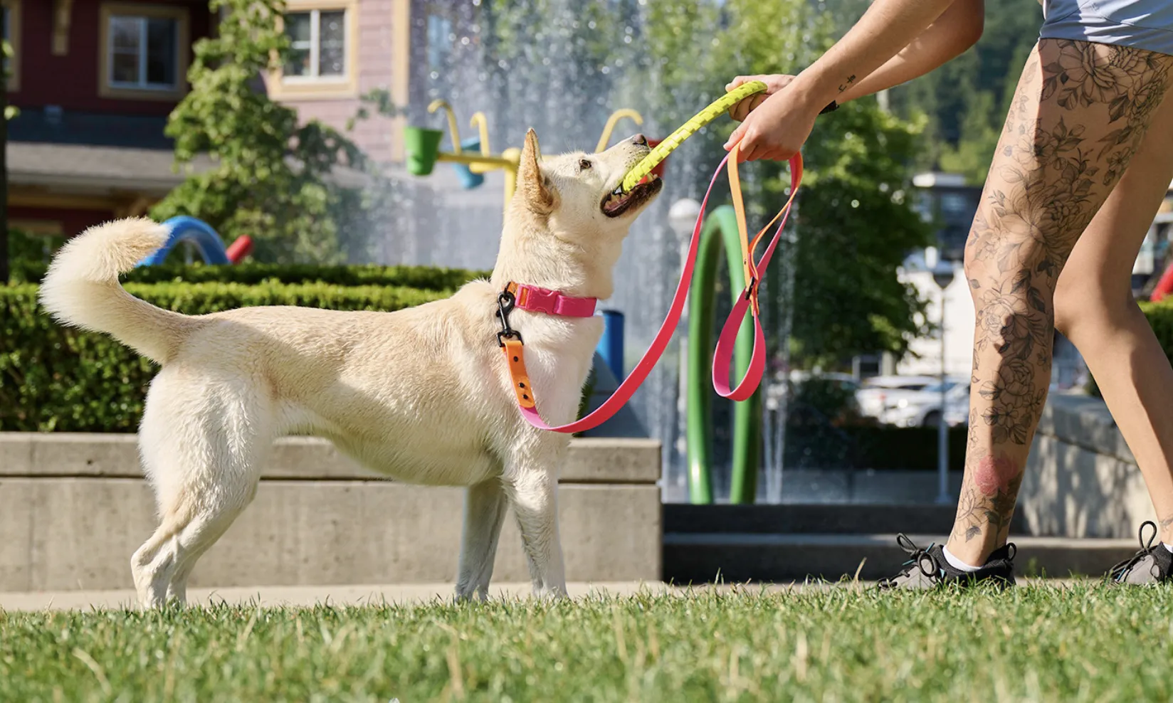 RC Pets Waterproof Collar Azalea/Orange