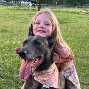 The Audrey Plaid Dog Bandana